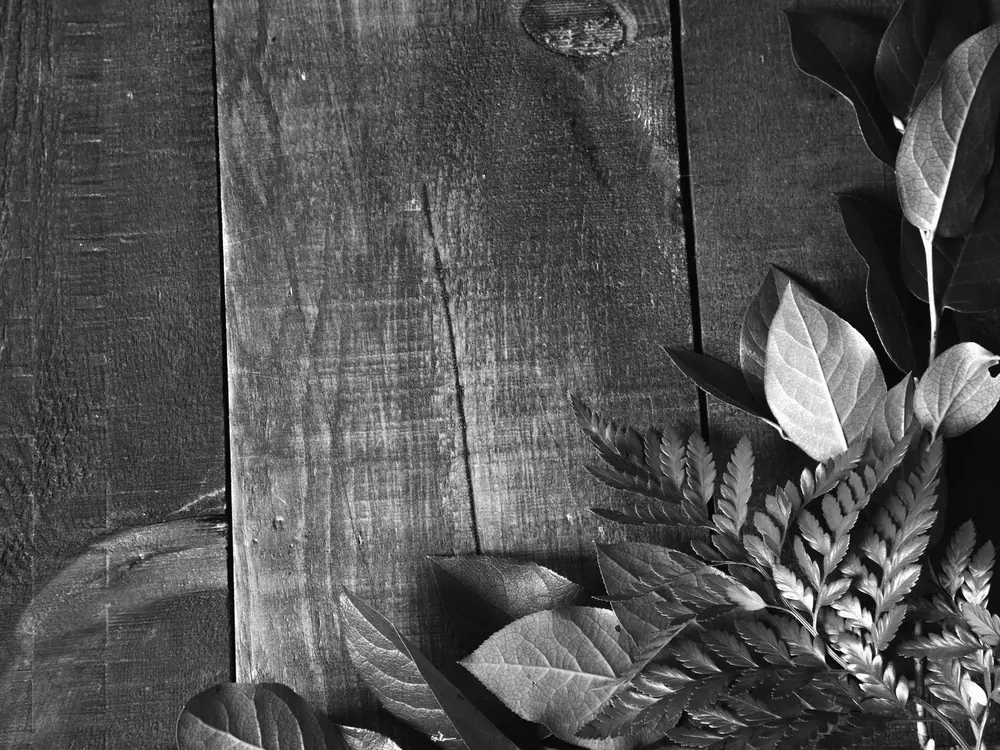 Feuilles sur une table en bois foncé
